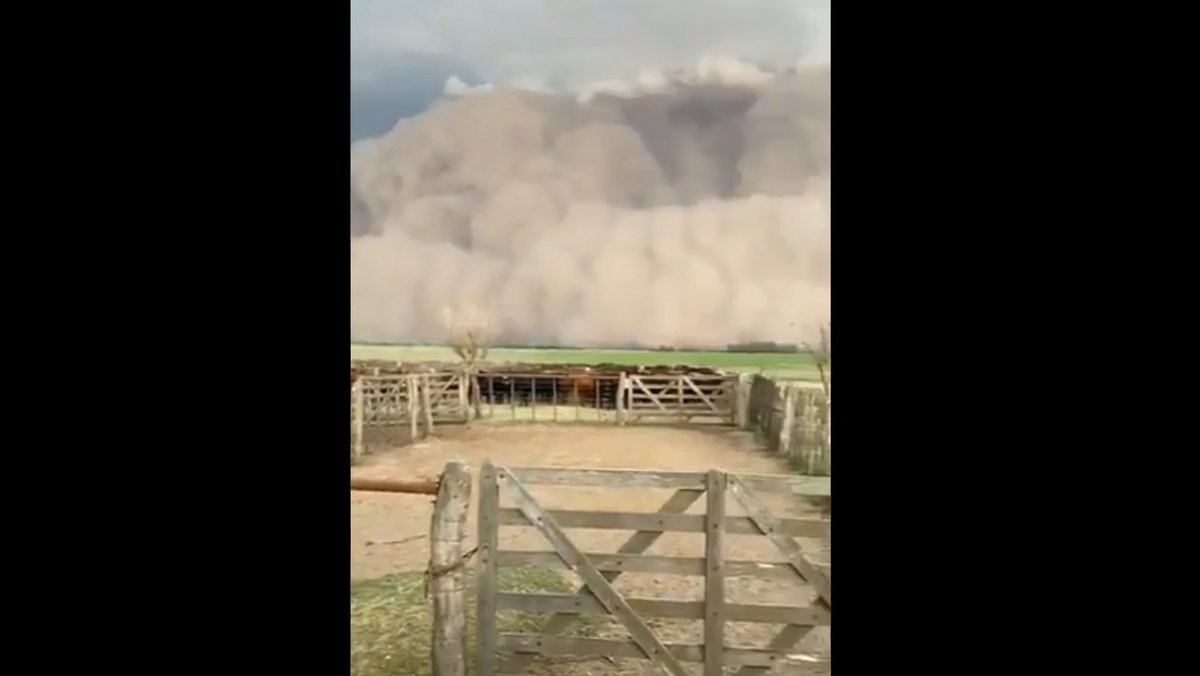 La tormenta provocó varias afectaciones. (Captura de pantalla)