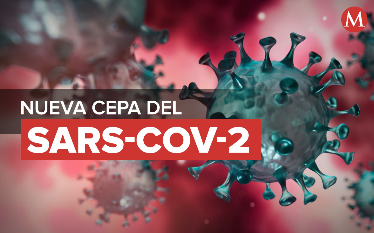 Nueva cepa del coronavirus SARS-CoV-2 | Especial