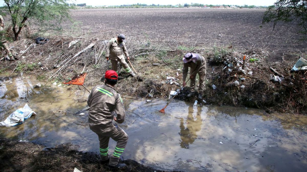 Recolecta Sapal más de 200 mil toneladas de basura durante el 2020. ESPECIAL