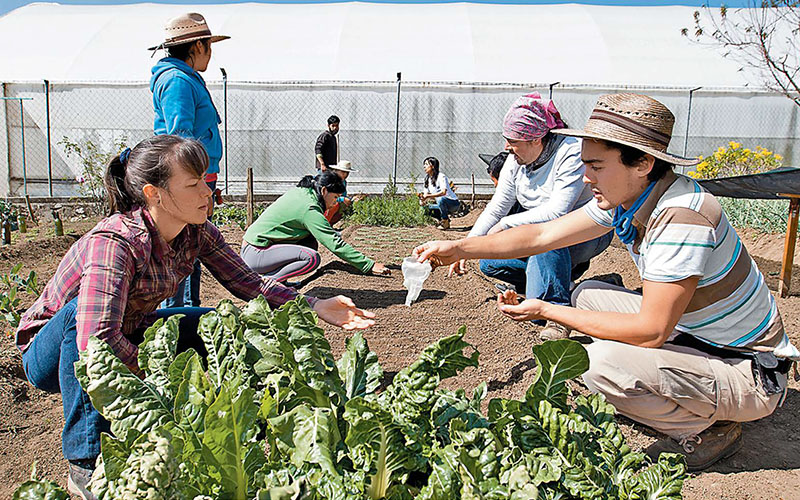 Comunidades rurales aprenden técnicas sustentables en la Reserva de la Mariposa Monarca. (Ariana Pérez)