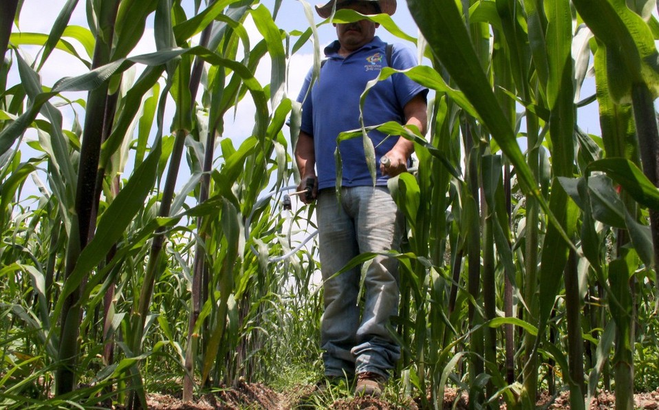 Detectaron campesinos que usaban agua potable. (Sergio Sánchez-Hidalgo)