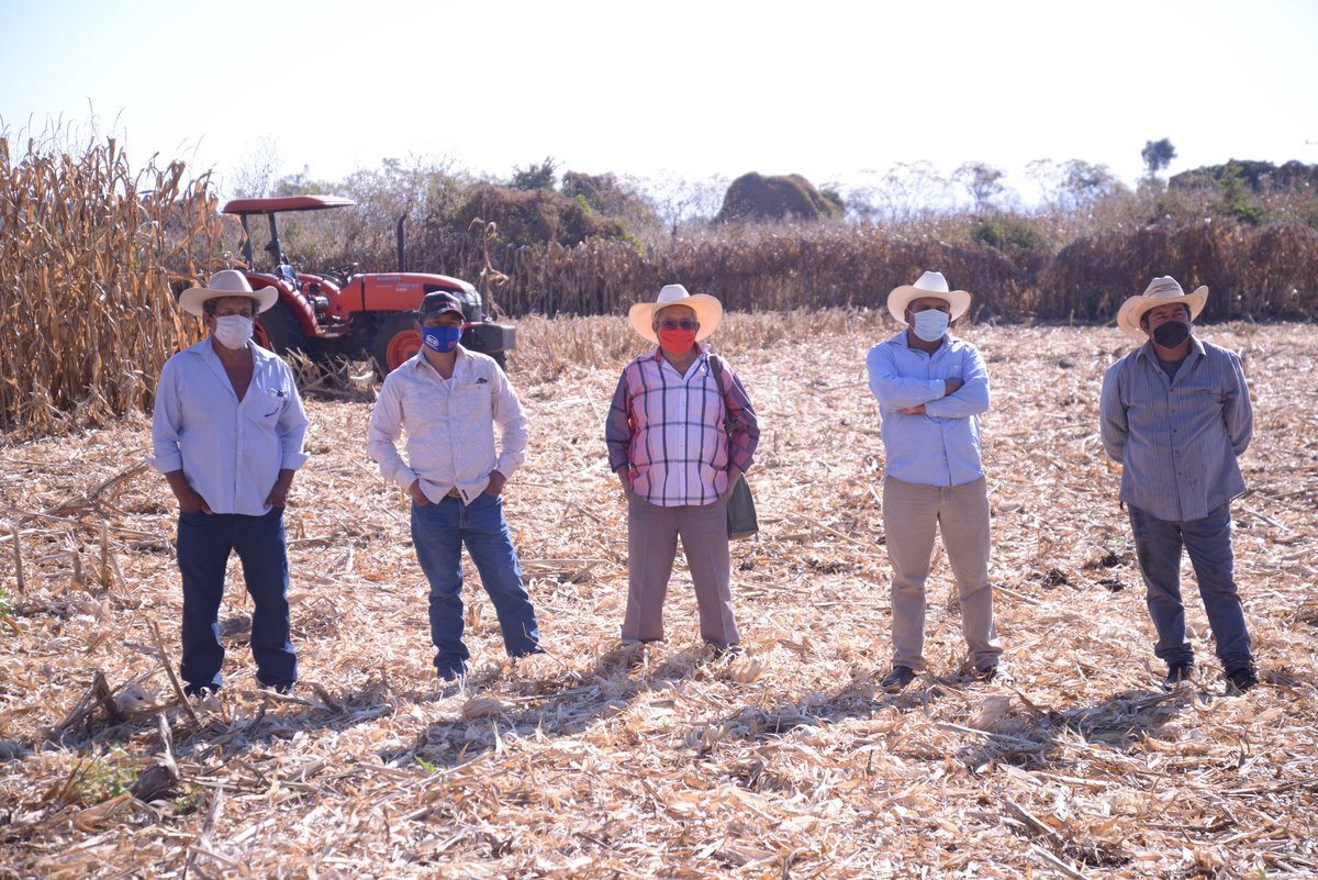 Se estima que las exportaciones del sector agroalimentario y pesquero a Japón se ubicarán entre mil 200 millones de dólares | @Agricultura_mex