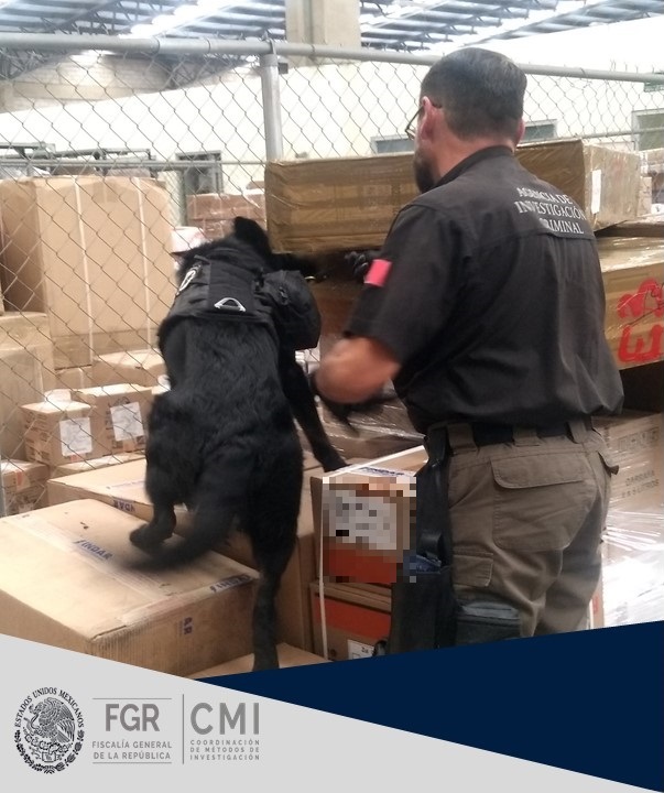 Los paquetes fueron asegurados.