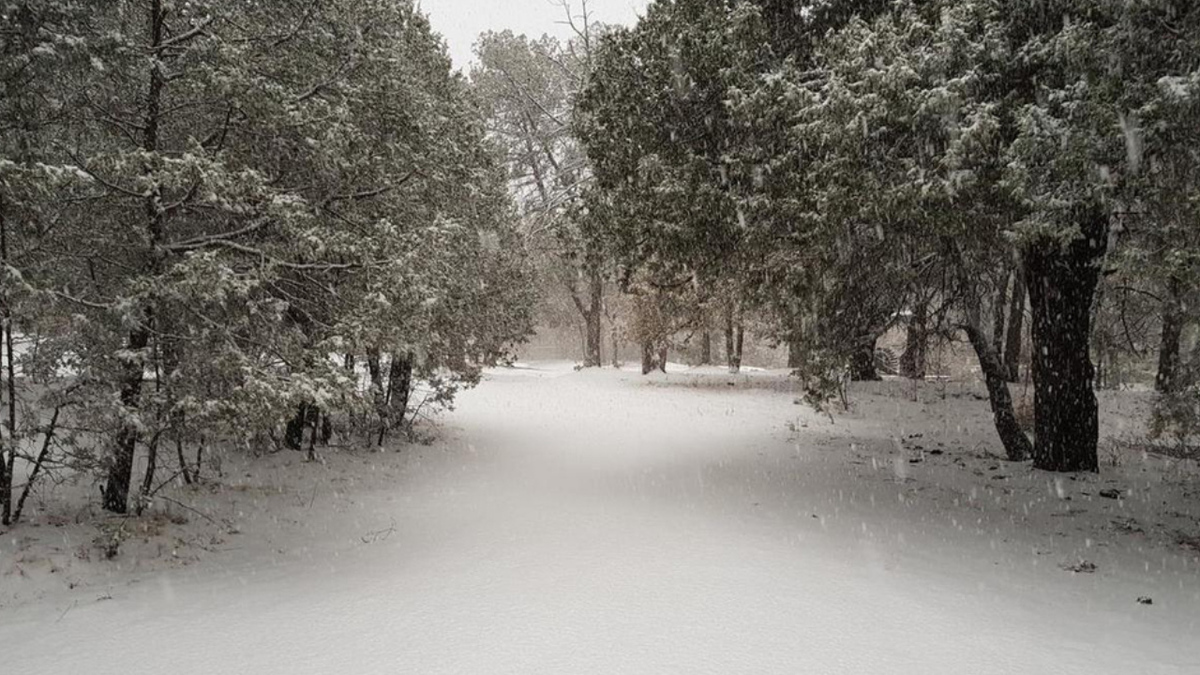 Chihuahua se cubre de blanco por nieve; autoridades piden extremar precauciones