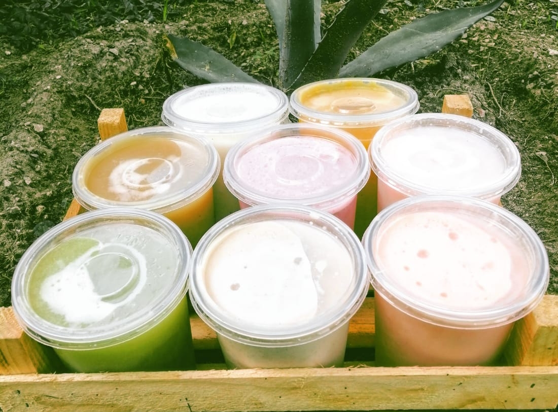Jacalito del Rancho Alegre, establecimiento de venta de pulque natural y curados. (Francisco Villeda)