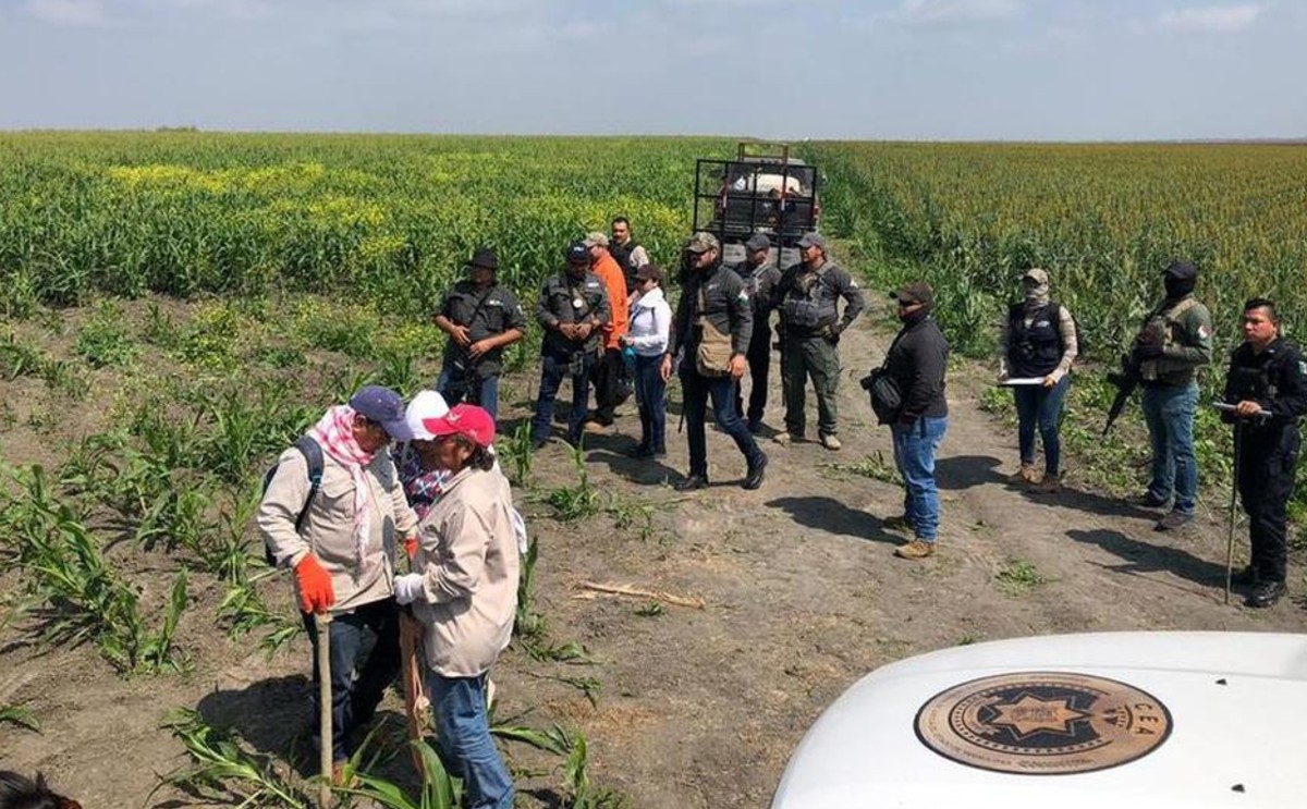 Búsqueda de restos humanos en Altamira (Foto/cortesía)
