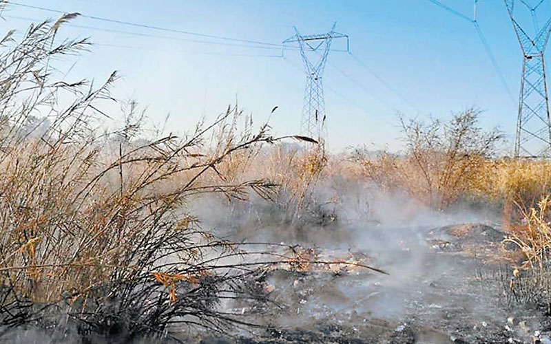 En las imágenes se ve el pastizal humeando y las líneas eléctricas. (Especial)