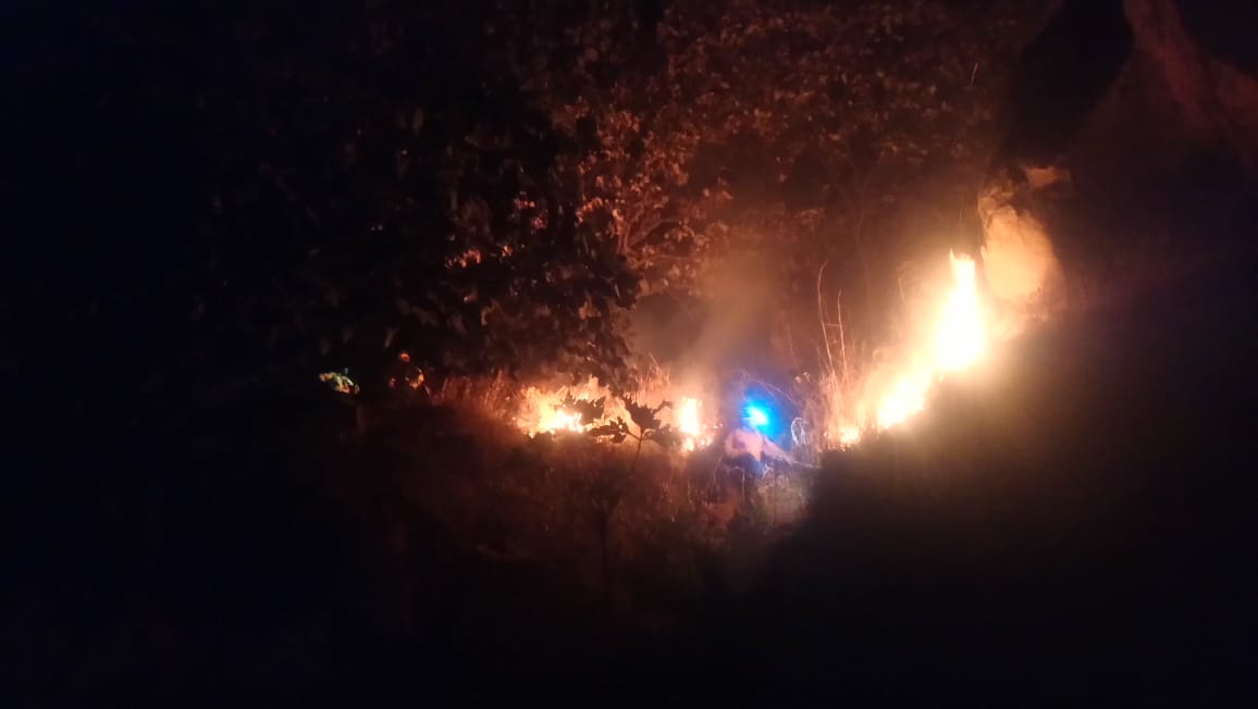 Autoridades estatales y municipales combaten esta noche un incendio en el Cerro del Diente. (Especial)
