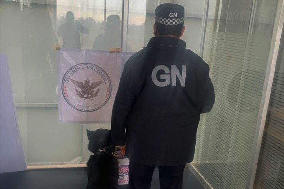 Perros de la Guardia Nacional detectó la pólvora en tres cajas de cartón. (Especial)