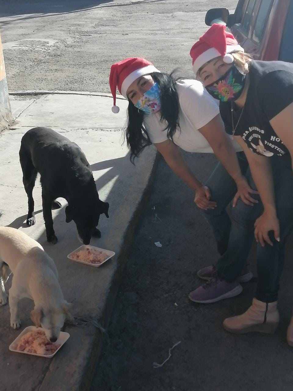 Protectoras animales reparten cena navideña a perros en situación de calle. (Cortesía)