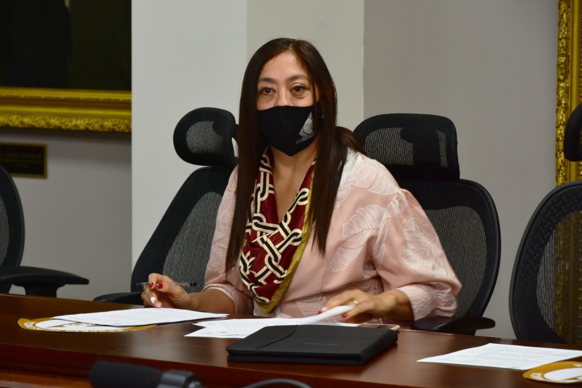 Rosalva Calva García, diputada de Hidalgo. (Cortesía)