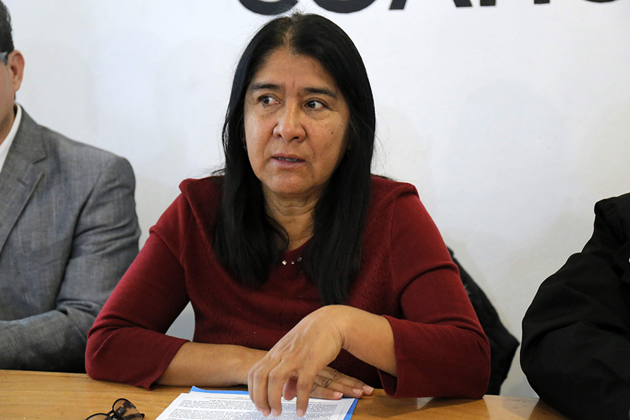 Diputada federal con licencia Miroslava Sánchez Galván. (Mauricio Román/Archivo)