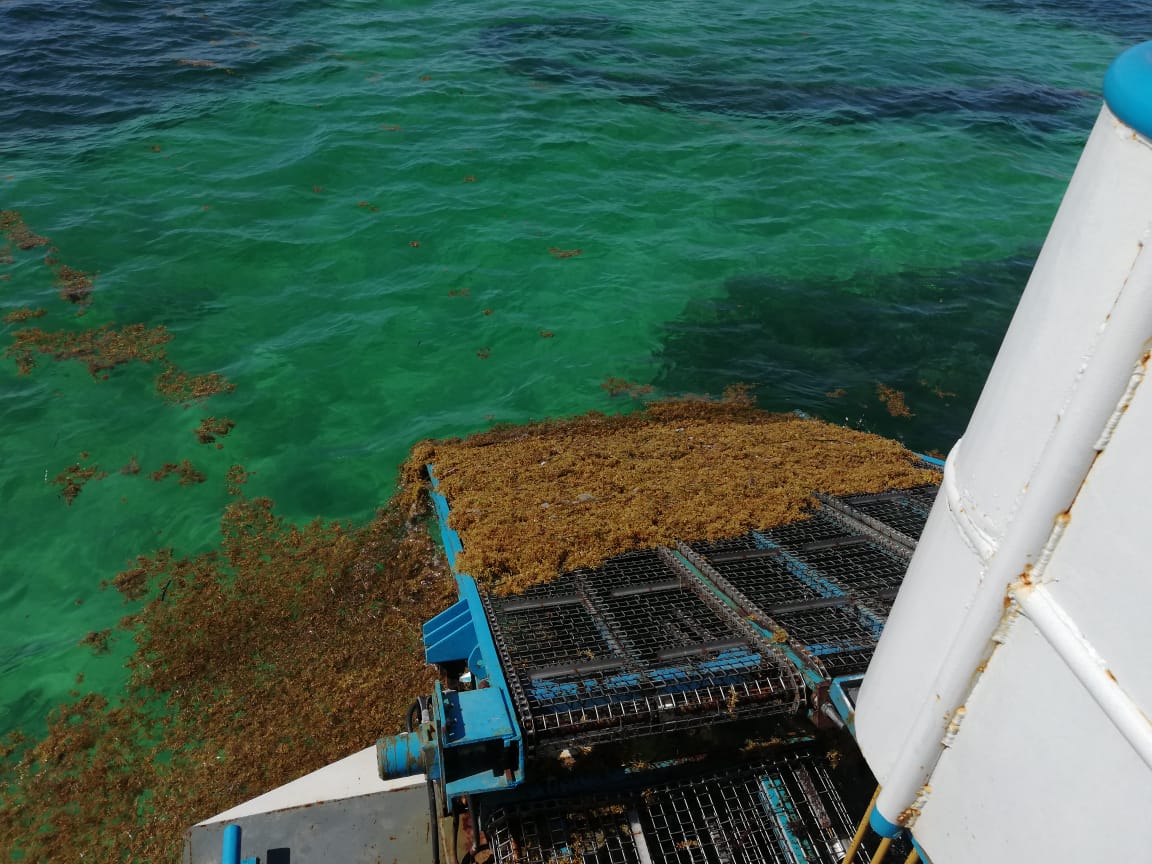 La Semar realizó el cálculo en consideración a distintas variables oceanográficas, como las corrientes, el viento y la presencia de algas. (Especial)