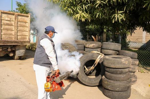 https://images.milenio.com/3T6qeWnVqYWbEzMKMEvFRHfCF8g=/618x348/uploads/media/2021/01/09/fumigacion-contra-el-dengue-en_thumb_593_348.jpeg