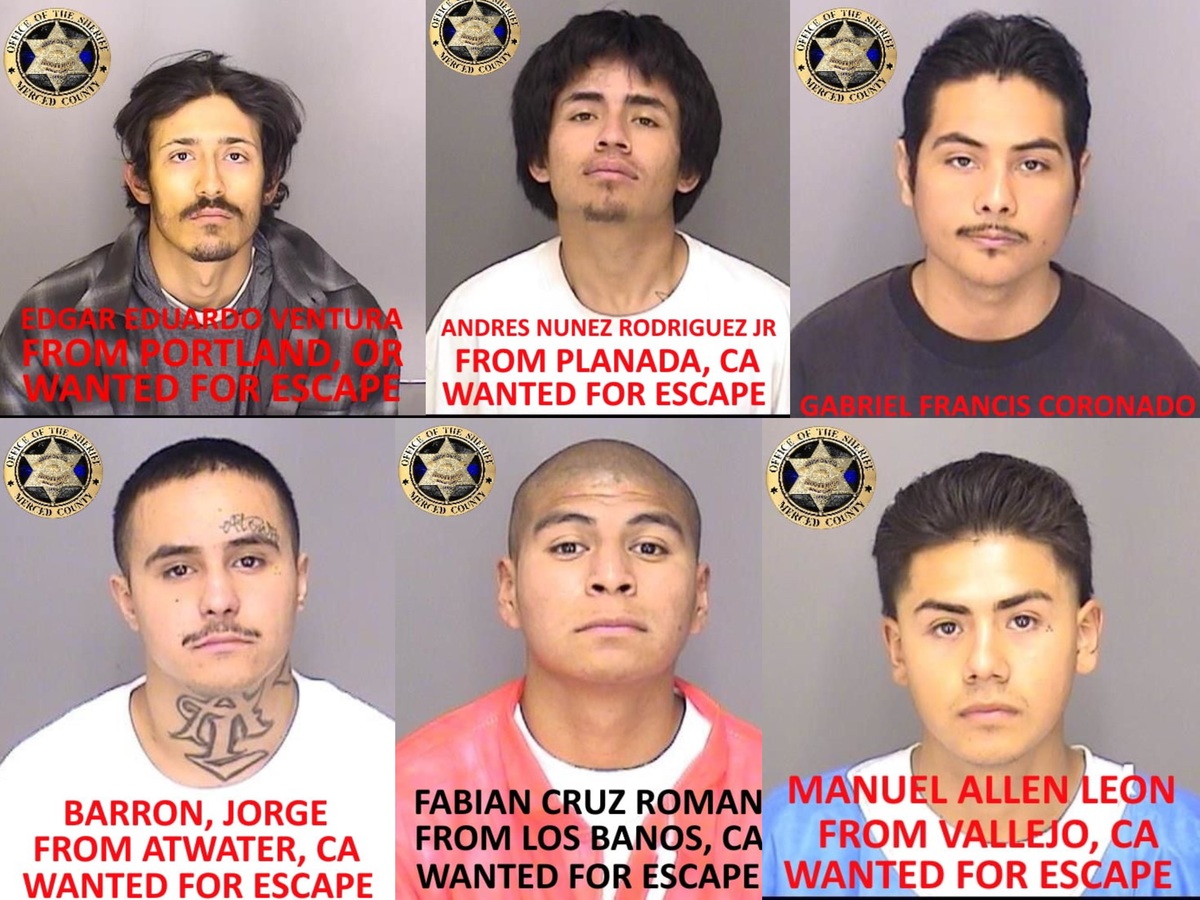 Los sujetos fueron identificados como: Daniel Leon, Edgar Ventura, Fabian Cruz, Andres Nunez, Gabriel Coronado y Jorge Barron
