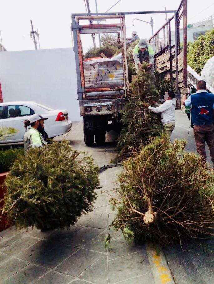 Para el reciclaje se instalaron tres centros de recolección | Especial