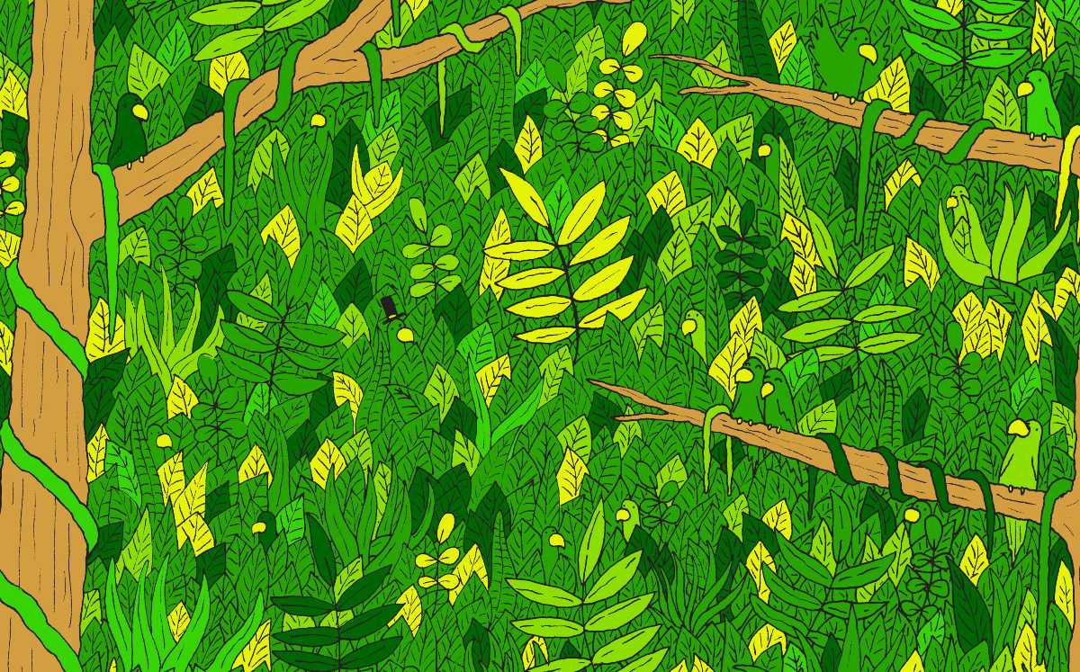 Reto visual: encuentra la serpiente escondida en la selva (@thedudolf)