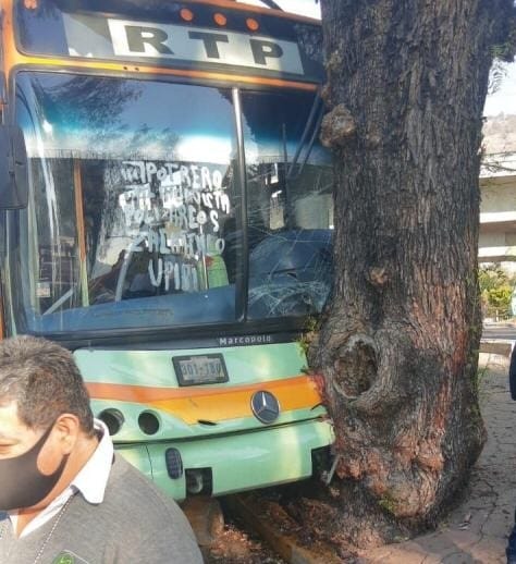 RTP choca contra un árbol en alcaldía Gustavo A. Madero | Especial