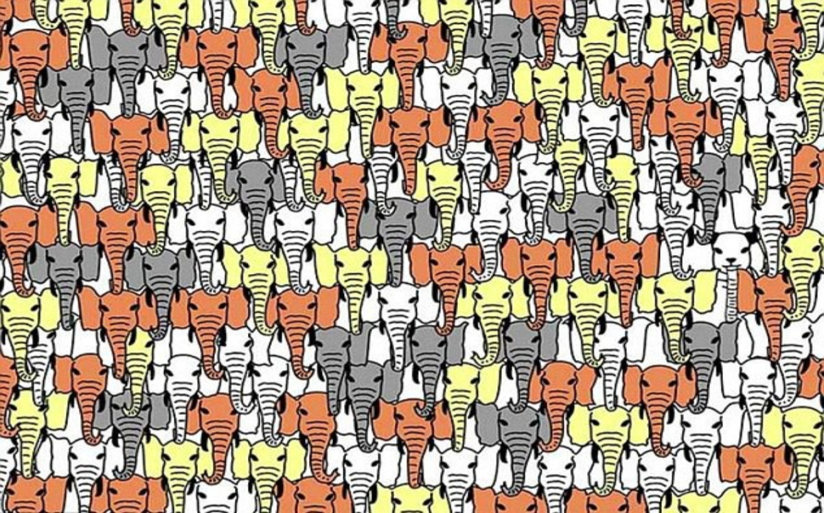 ¿Puedes encontrar al panda entre los elefantes? (aol).