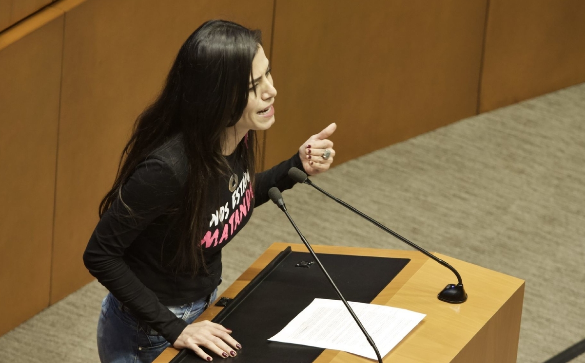 La senadora de Movimiento Ciudadano, Verónica Delgadillo, en una de sus intervenciones. (Cuartoscuro)