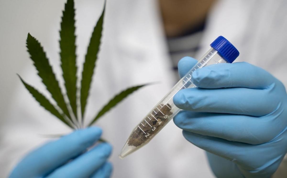 HempMeds va por registro de fármaco hecho a base de cannabis