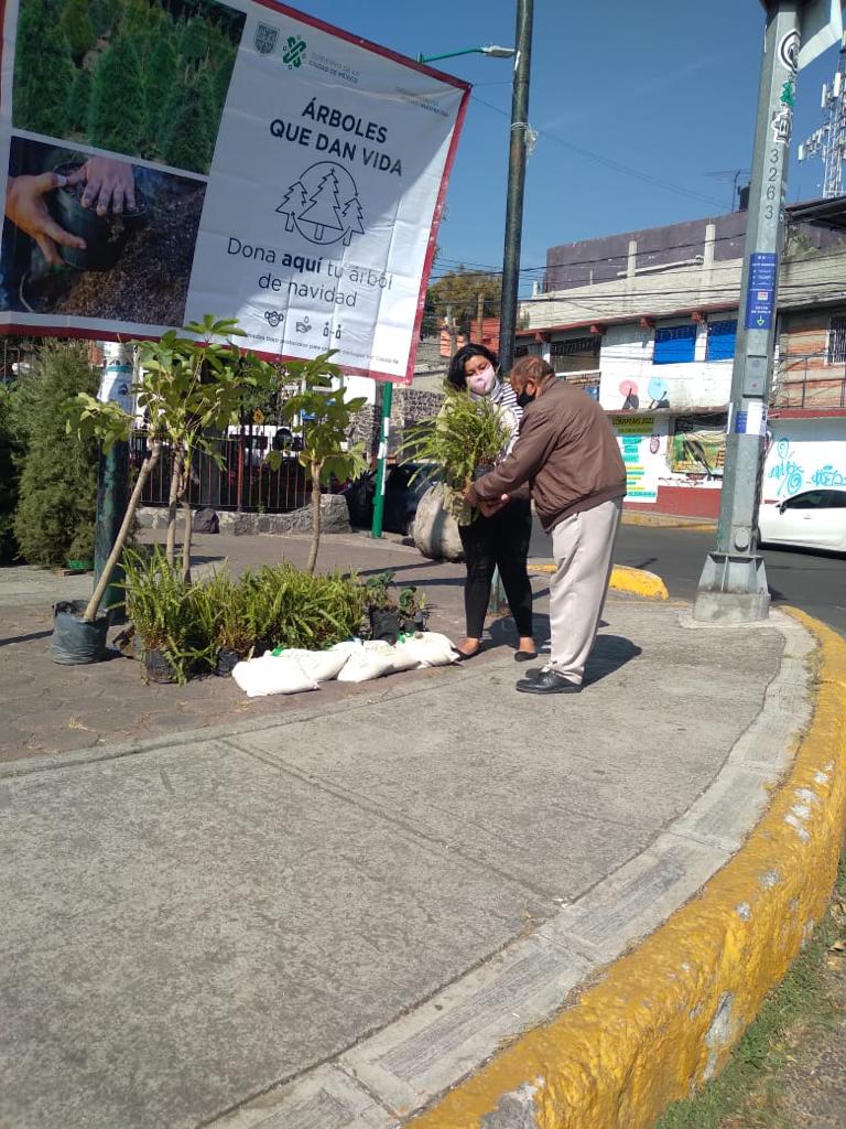 Árboles que dan vida, programa de reciclaje | Especial