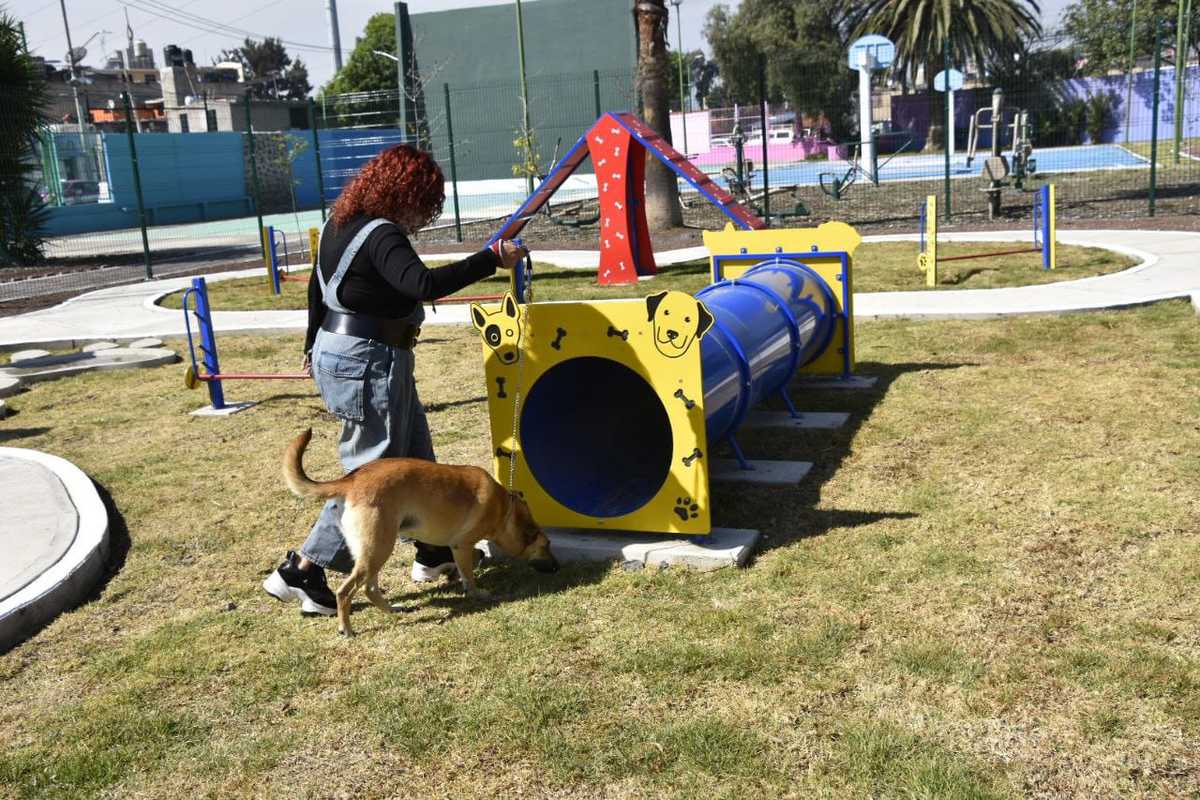 El parque canino se habilitará cuando las condiciones epidemiológicas lo permitan | Especial
