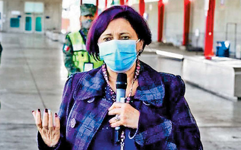 La ex directora general del Centro Nacional para la Salud de la Infancia y la Adolescencia. (Especial)