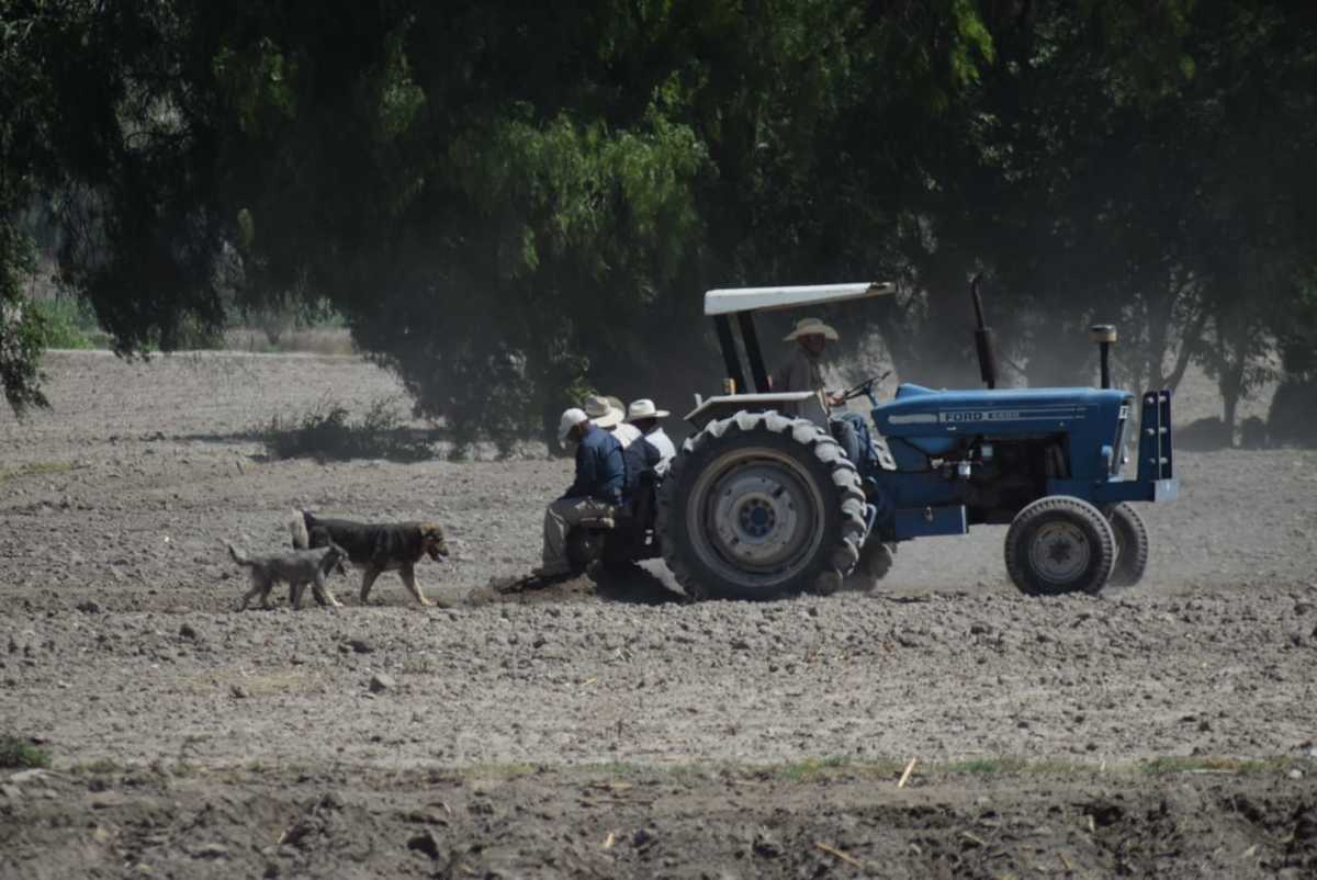 Valle del Mezquital, Producción agrícola. (Francisco Villeda)