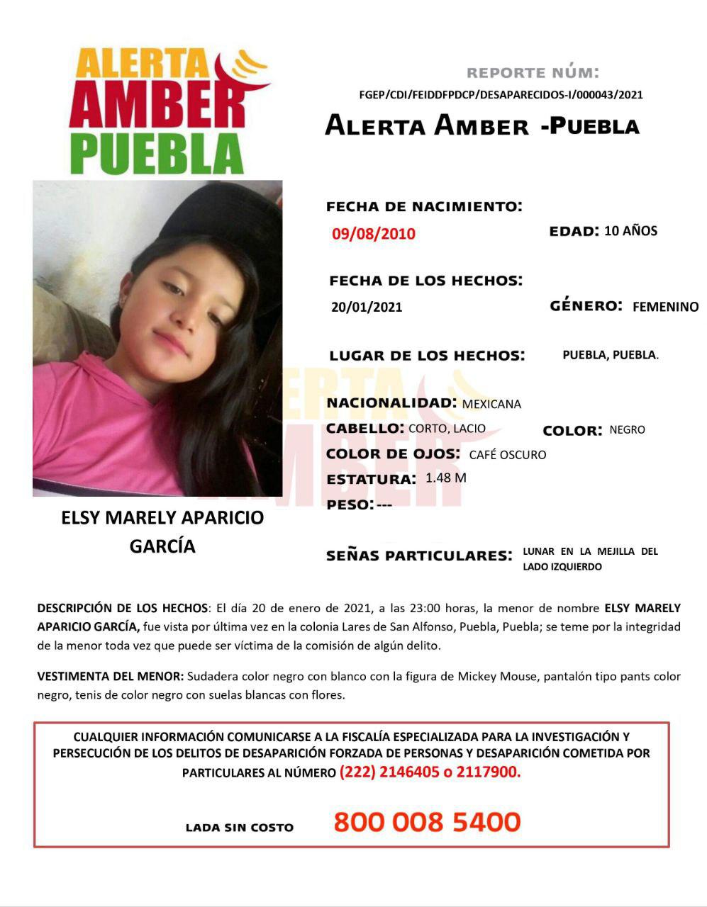 Alerta Amber para localizar a Elsy Marely Aparicio García de 10 años. (Especial)