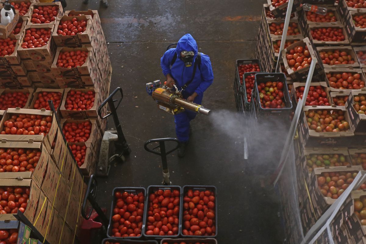 Comienzan nuevos trabajos de desinfección en Mercado de Abastos. (Fernando Carranza)
