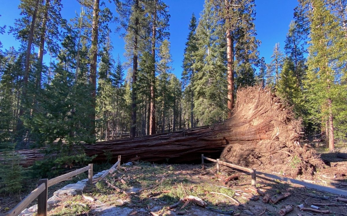 El Parque Nacional Yosemite permanecerá cerrado este fin de semana, Foto: Twitter @YosemiteNPS