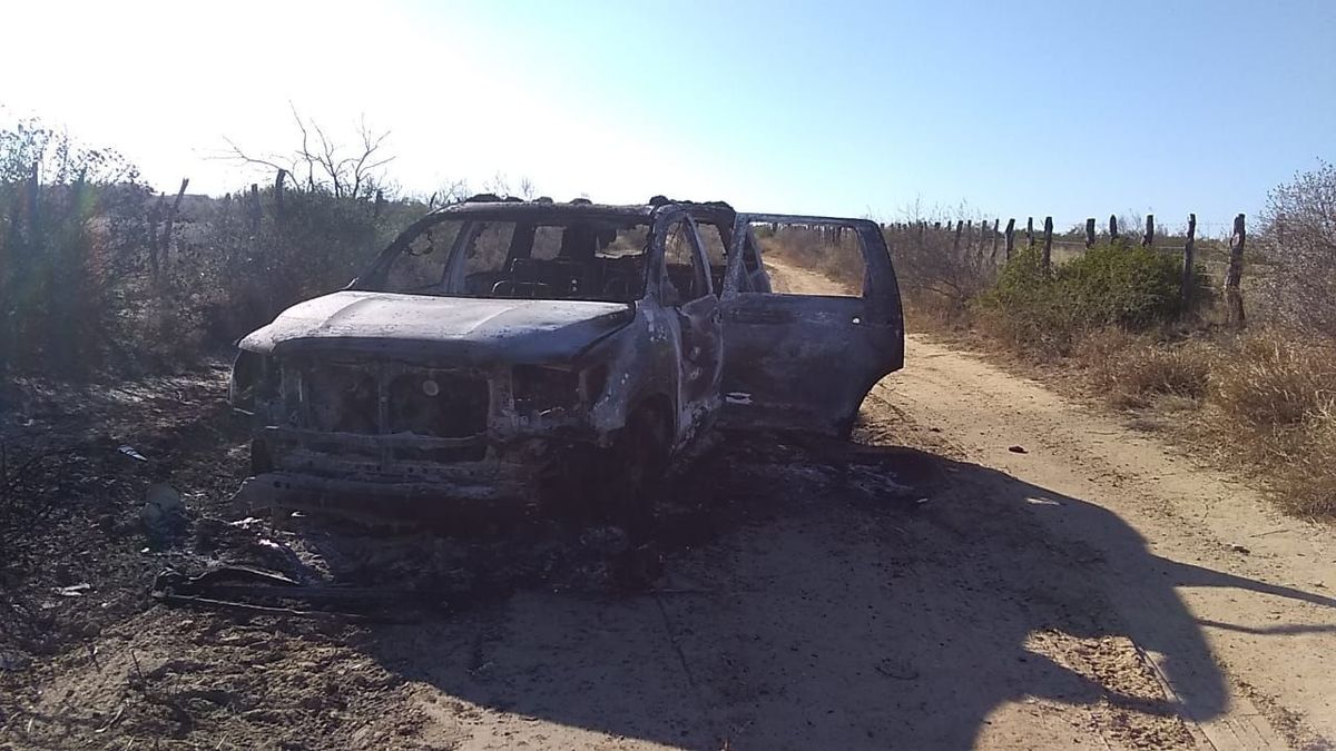 Los cuerpos calcinados fueron hallados en los límites de Tamaulipas con Nuevo León. (Cuartoscuro)