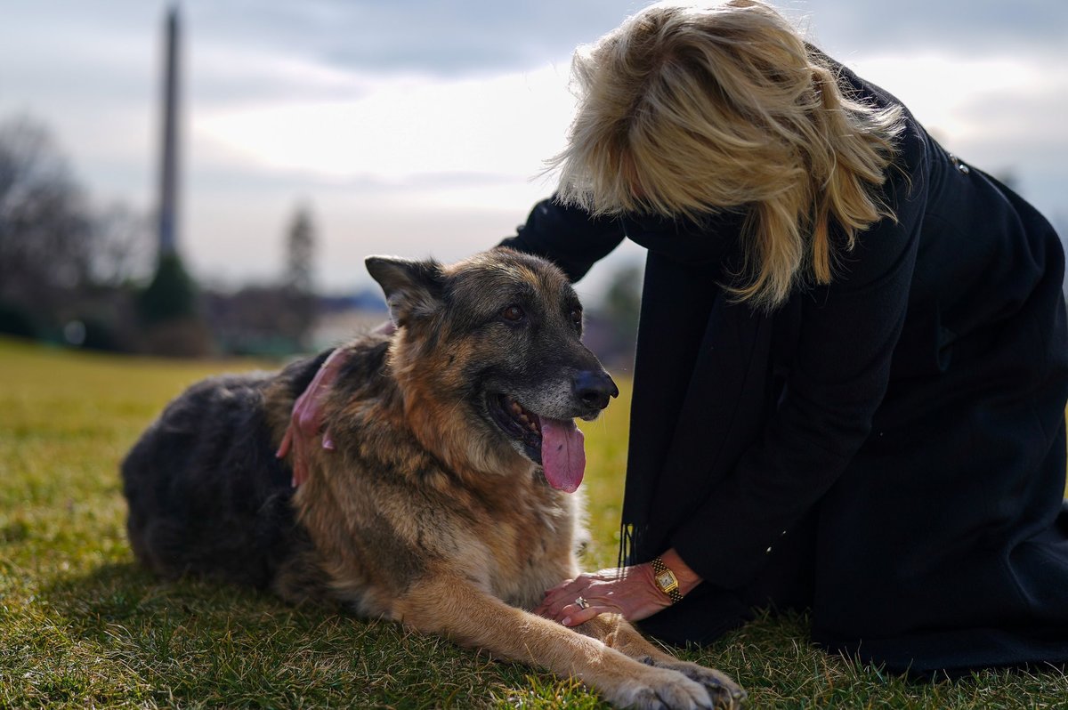 Jill Biden fue la primera en compartir fotos de los peludos disfrutando su nuevo hogar | @FLOTUS