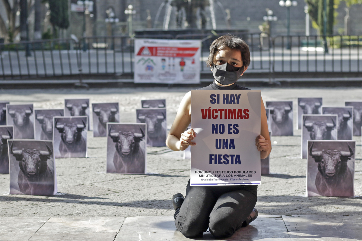Manifestación de activistas en contra de las corridas de toros, en los portales de Palacio Municipal. (Agencia Enfoque)
