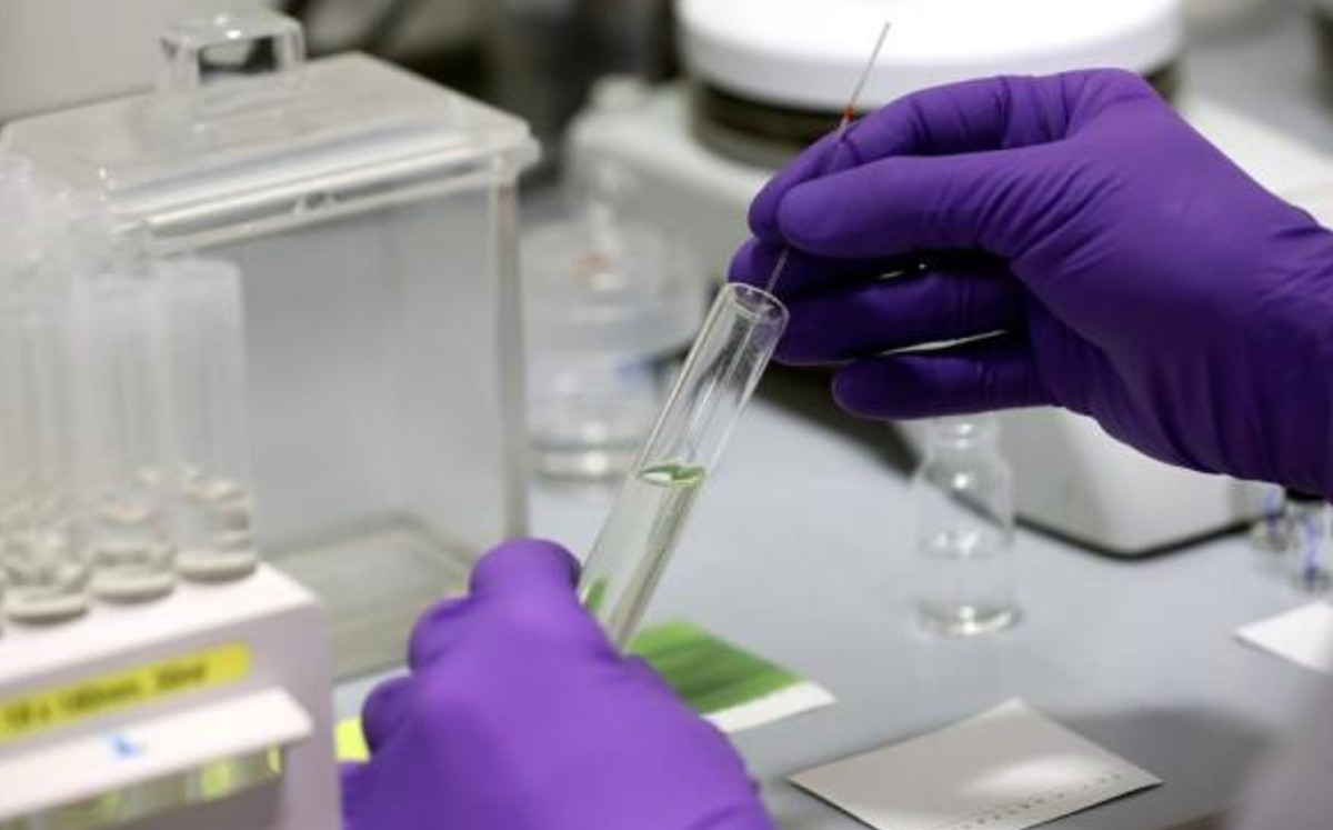 Un antiviral español reduce casi al 100 por cien la carga viral de SARS-Cov-2. (EFE)