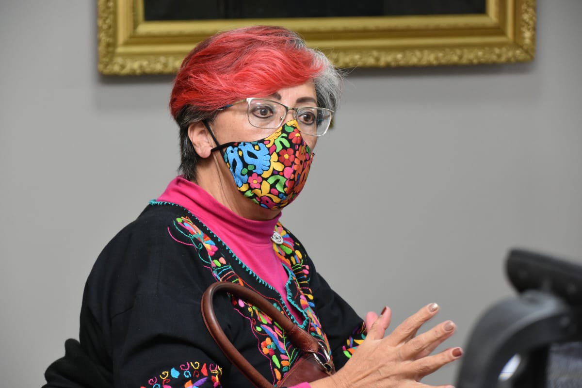 Corina Martinez, diputada de Morena. (Cortesía)
