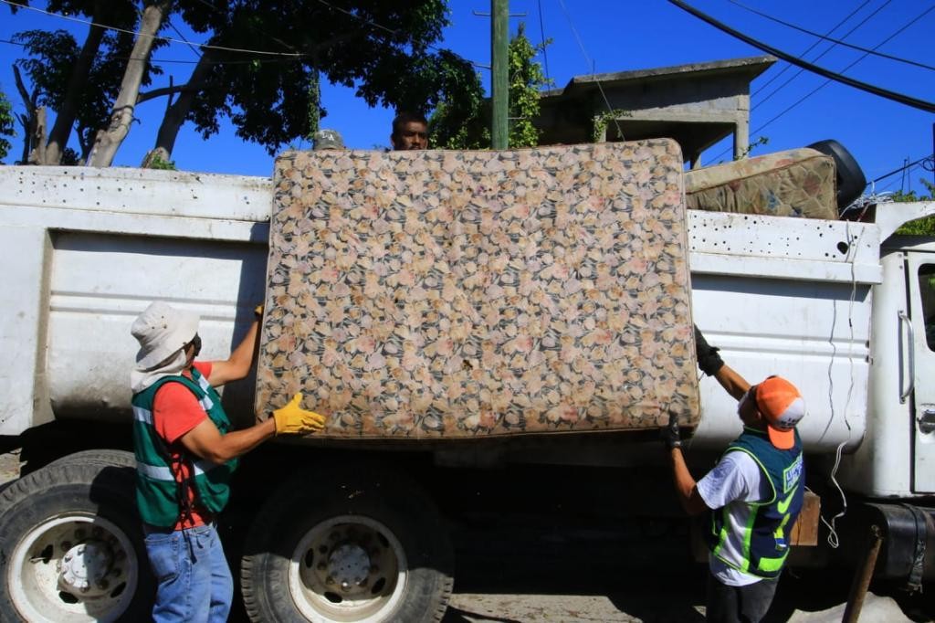 Piden sumarse a estas acciones para detener el avance del dengue