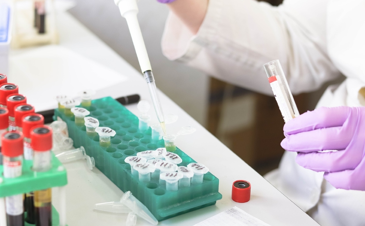 El medicamento aún no ha sido probado en humanos, pero los primeros estudios son alentadores. (Pixabay)