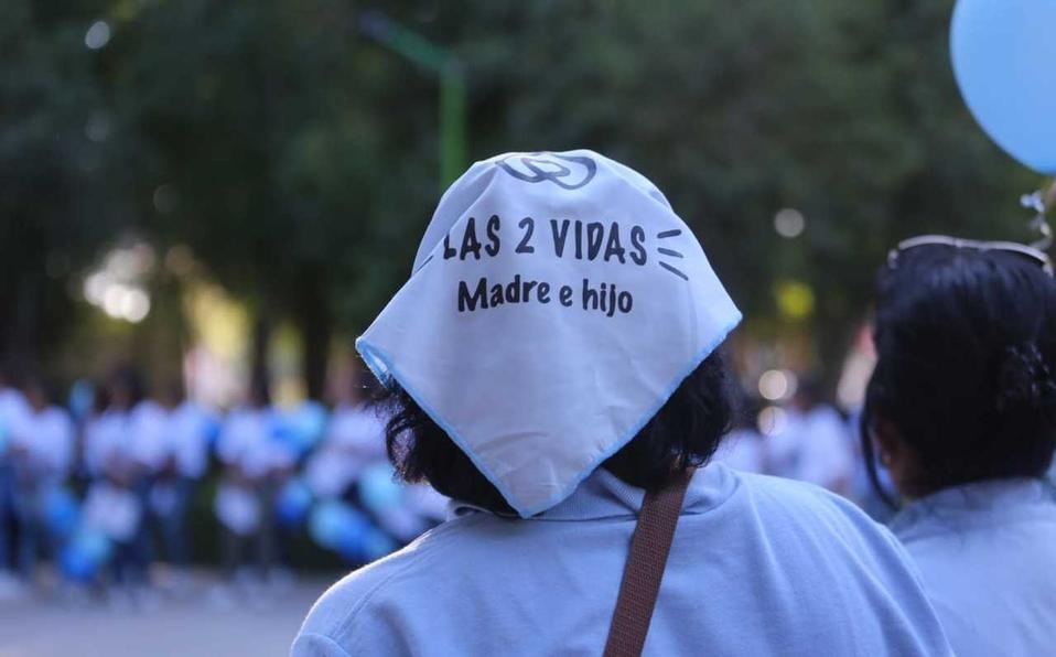 Asociaciones y colectivos de la Comarca Lagunera participarán en la 'Caravana por la Vida'. (Rolando Riestra)