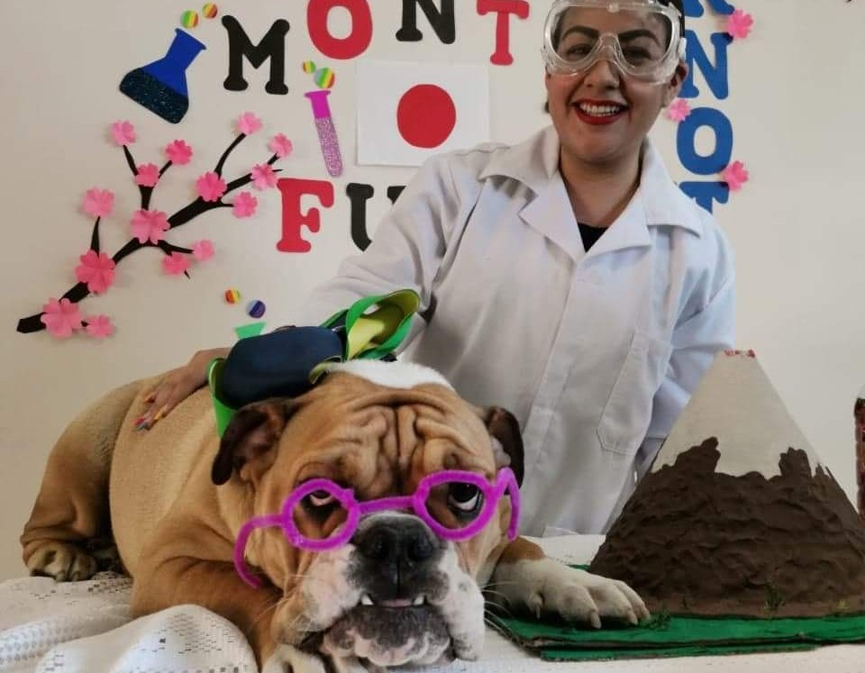 Cachorra ayuda a maestra a dar clases en línea en un kínder de Tampico. (Cortesía)
