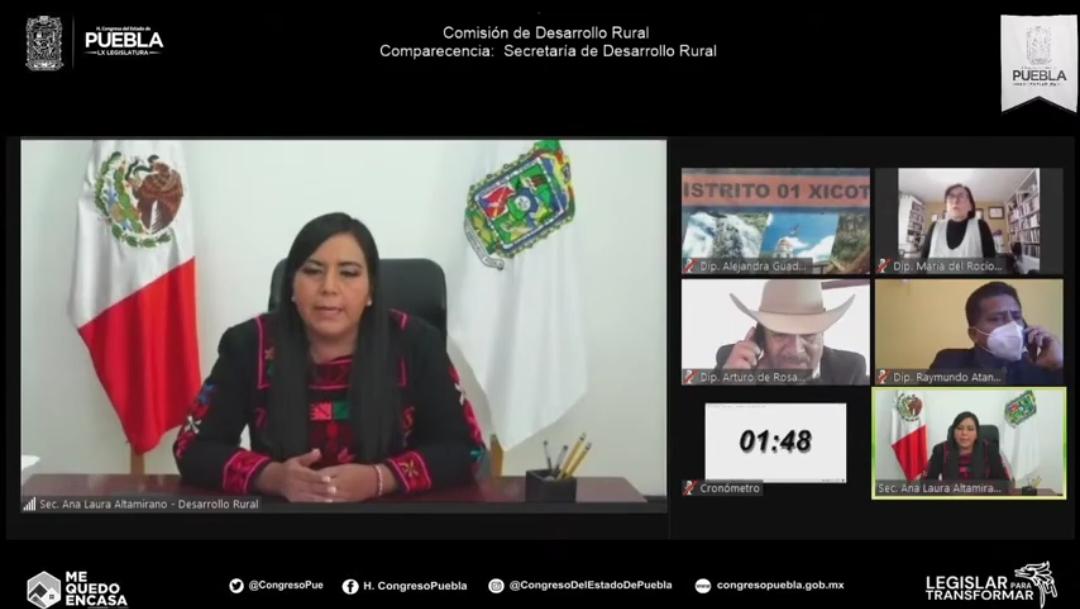 Comisión de Desarrollo Rural. (Especial)