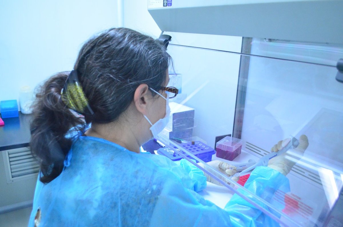 Coronavirus Tamaulipas.