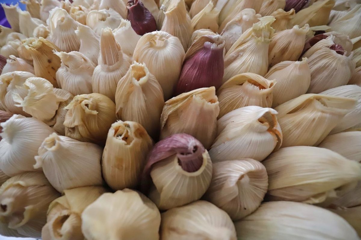 Los tamales son una tradición del Día de la Candelaria / Cuartoscuro