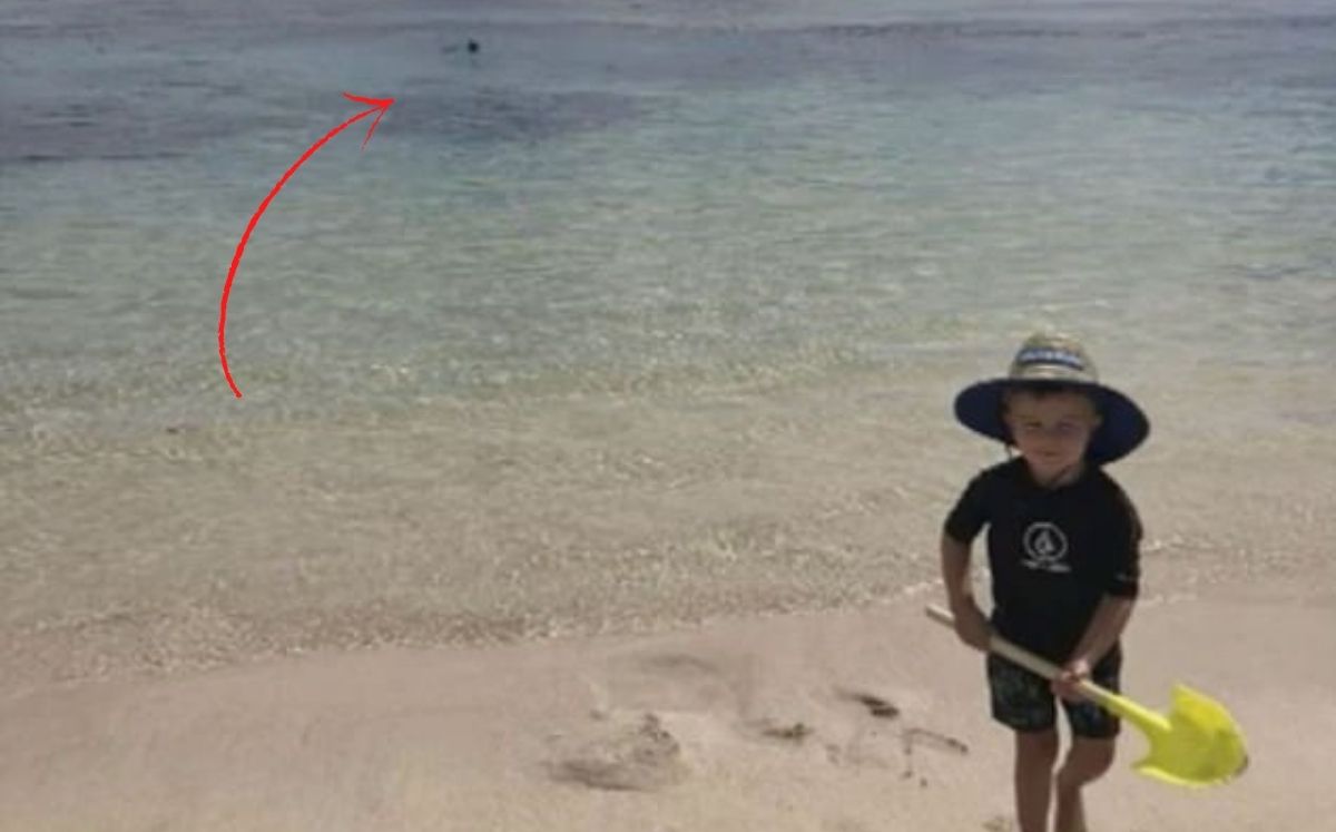 Hombre es devorado por un tiburón; su esposa capta el momento