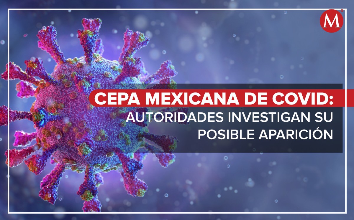 Cepa mexicana de covid-19: investigan su posible aparición (Shutterstock/Diseño: Marco Villa).