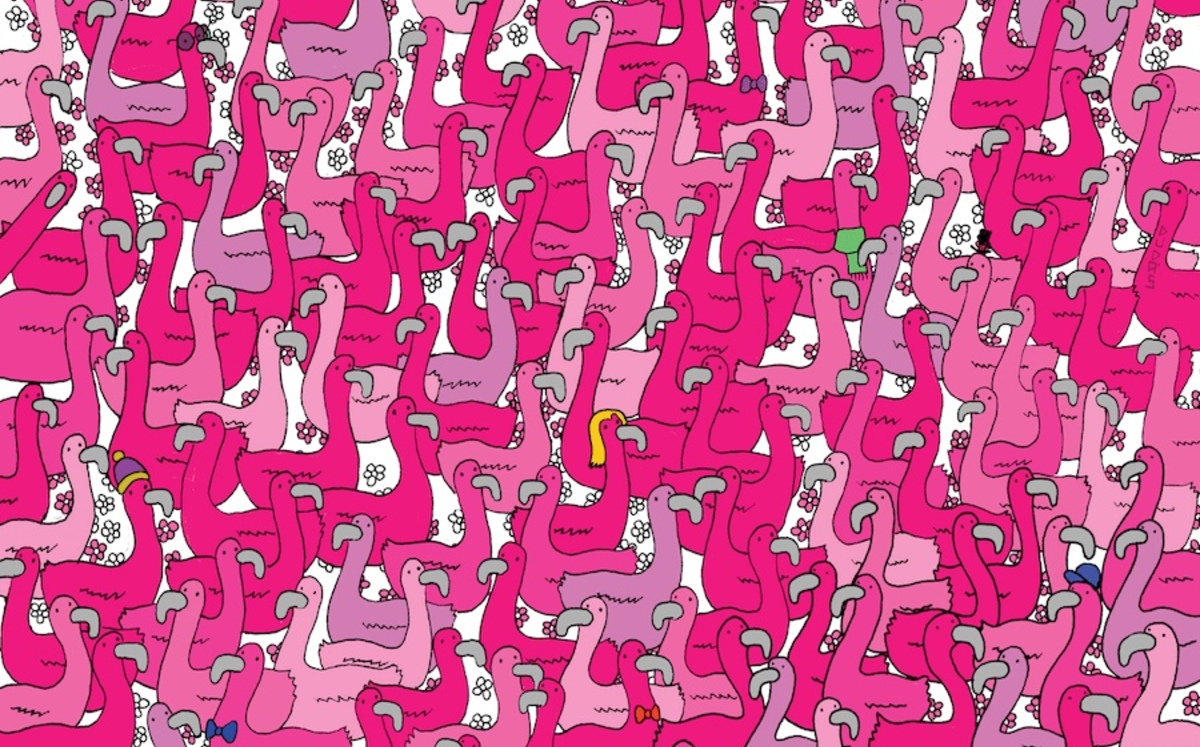 Reto visual: encuentra el corazón escondido entre los flamingos (Dudolf)