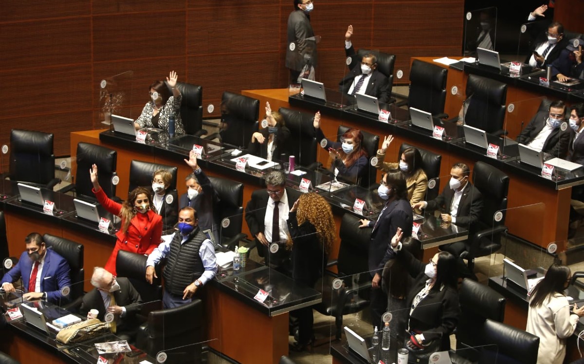 En las sesiones a distancia no se podrán hacer modificaciones a la Constitución. | Ariana Pérez