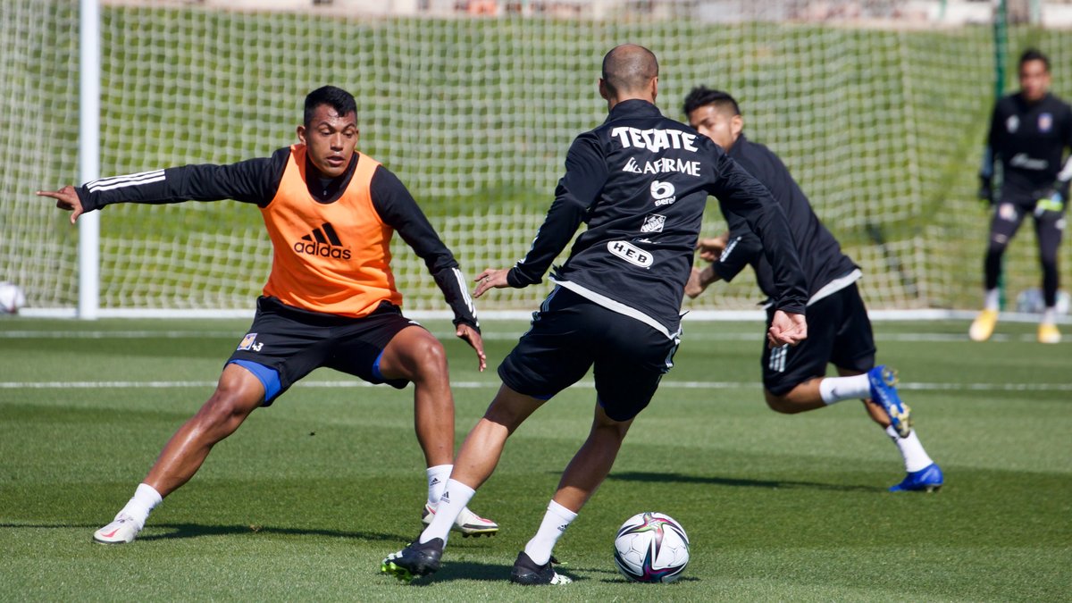 Tigres (Twitter: @TigresOficial)