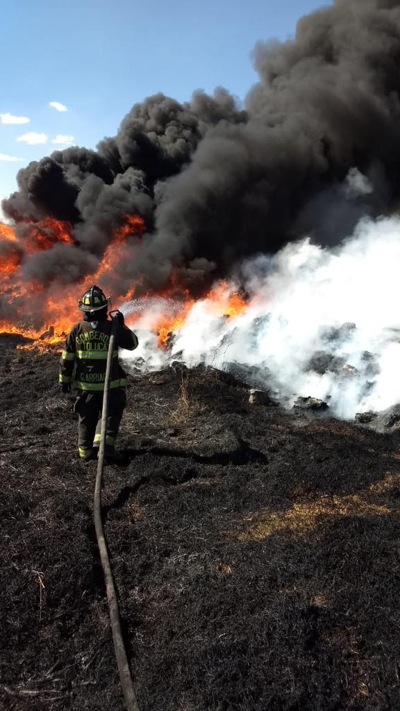 Autoridades han realizado brechas cortafuego en siete hectáreas y cinturones negros en 2.3 hectáreas.